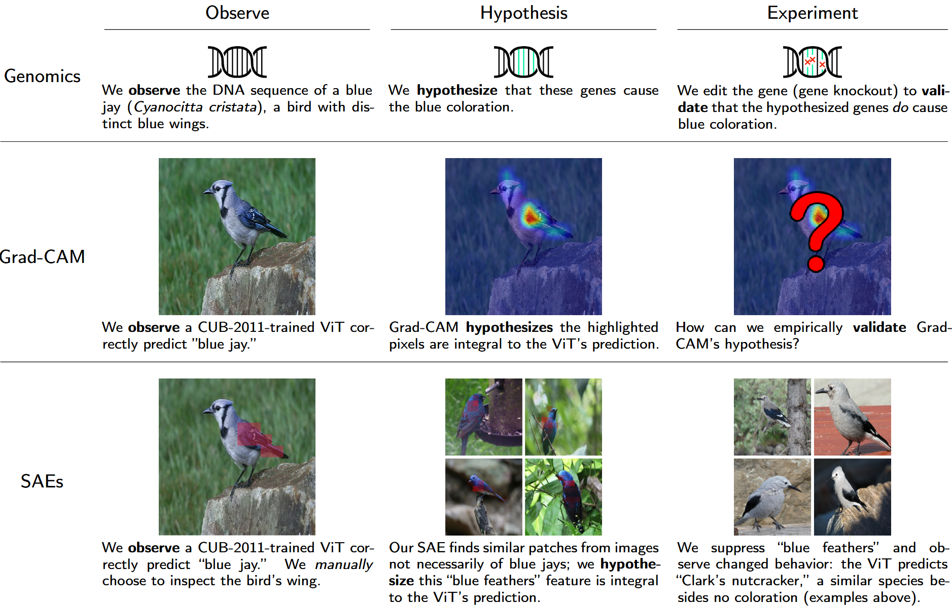 file-20250613233819738.png|500